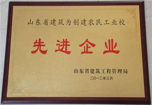 山東省創(chuàng)建農(nóng)民工業(yè)校先進企業(yè)